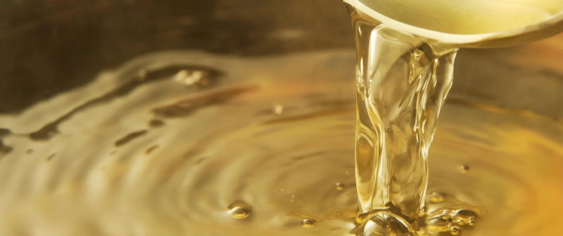 AI Dashi hero visual